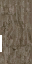 HD_M_1810_Cordyceps_a_l (2).png